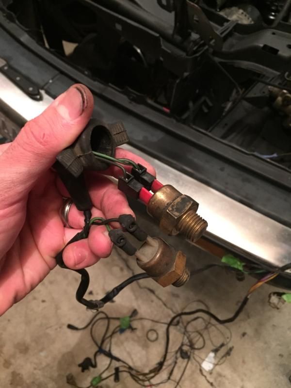 early e30 electric fan wiring - R3VLimited Forums